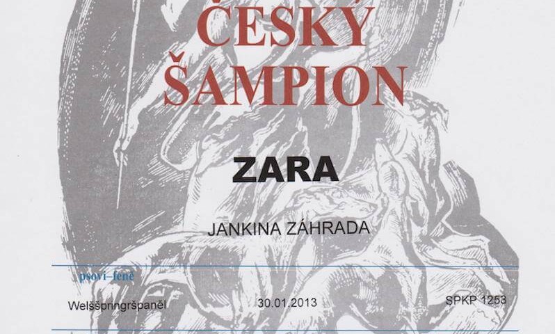 Zara Czech Champion