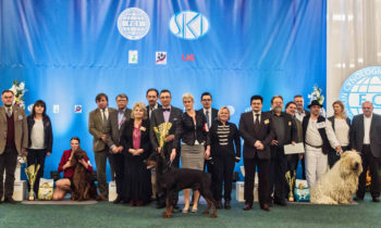 NV Bratislava 2017