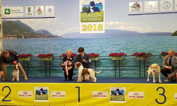 Posudzovanie IDS Garda Winner 2018