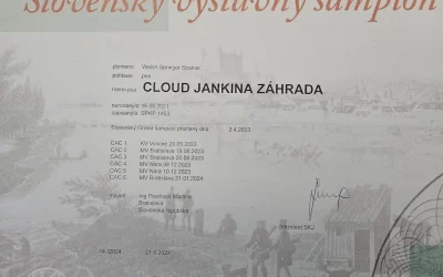 Cloud – Sk výstavný šampión