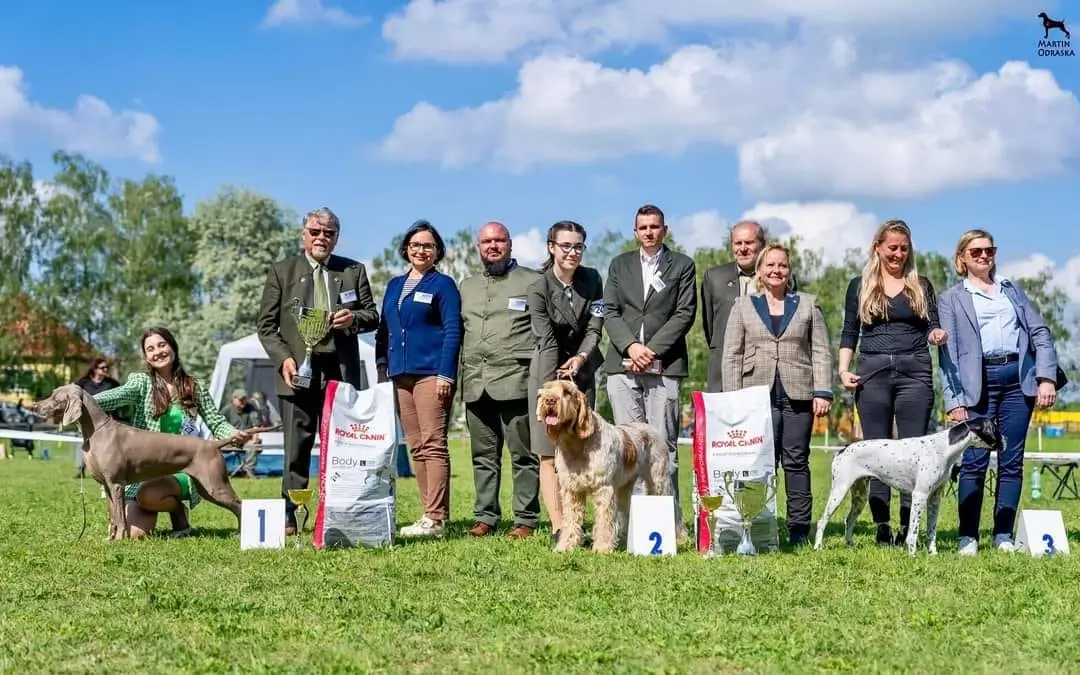 18.05.2024 Veľké Úľany Klubové výstavy stavačov